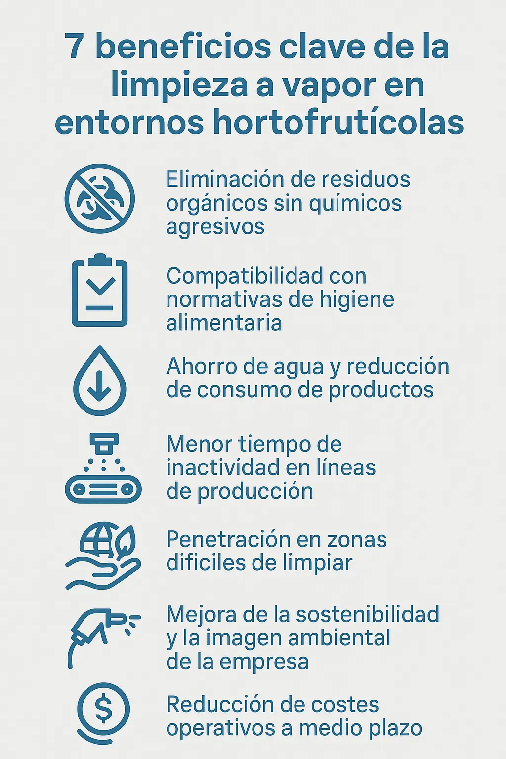 Beneficios de la limpieza en vapor