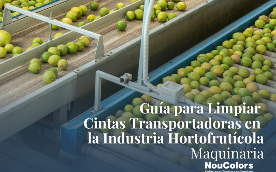 Guía Práctica para Limpiar Cintas Transportadoras en la Industria Hortofrutícola Guía Práctica para Limpiar Cintas Transportadoras en la Industria Hortofrutícola