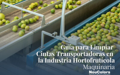 Guía Práctica para Limpiar Cintas Transportadoras en la Industria Hortofrutícola