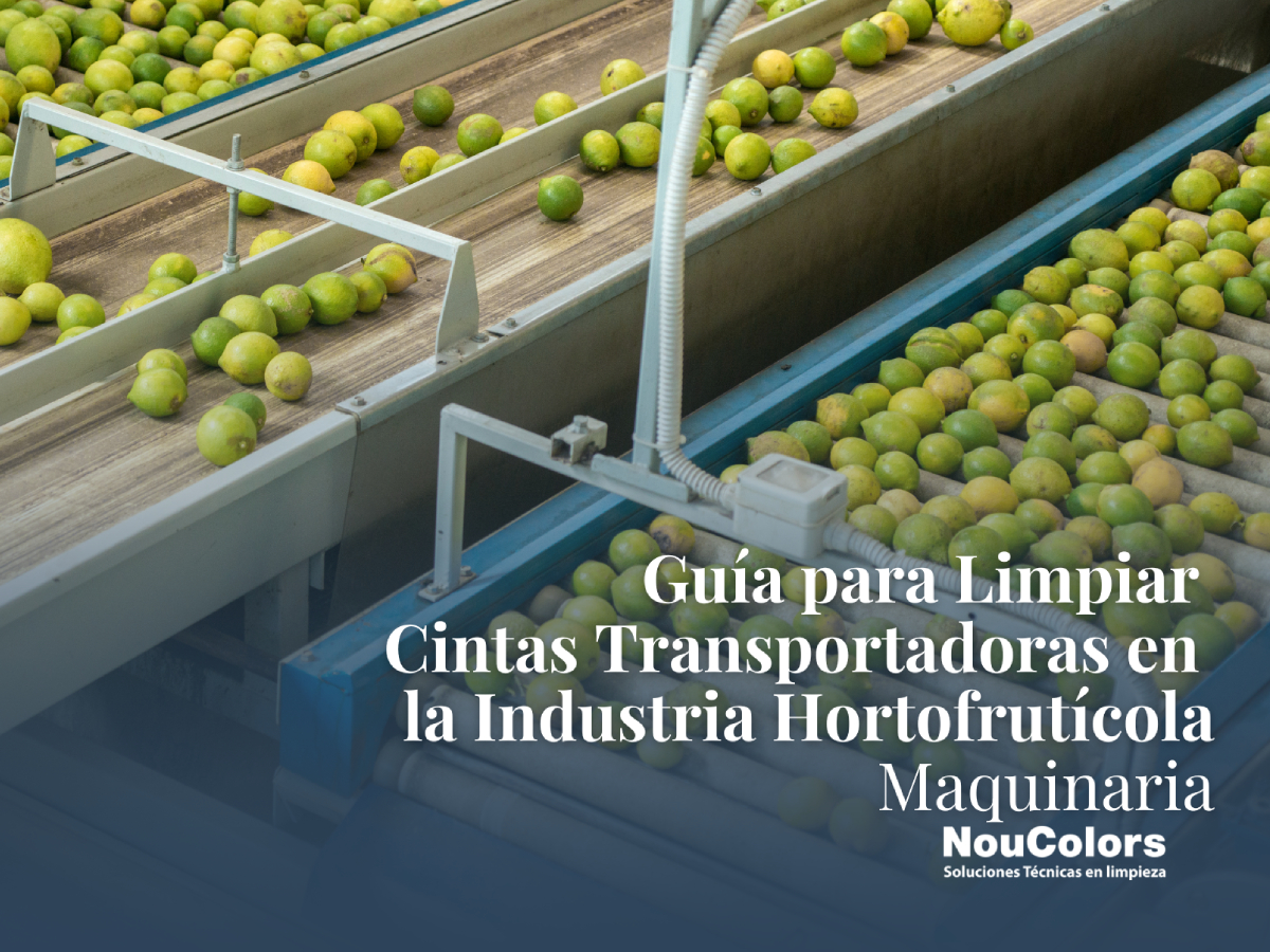 Como limpiar Cintas Transportadoras en la Industria Hortofrutícola Como limpiar Cintas Transportadoras en la Industria Hortofrutícola