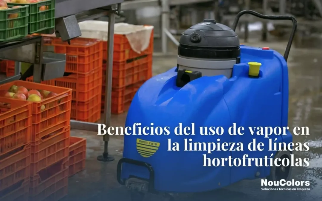 Beneficios del Uso de Vapor en la Limpieza de L&iacute;neas Hortofrut&iacute;colas