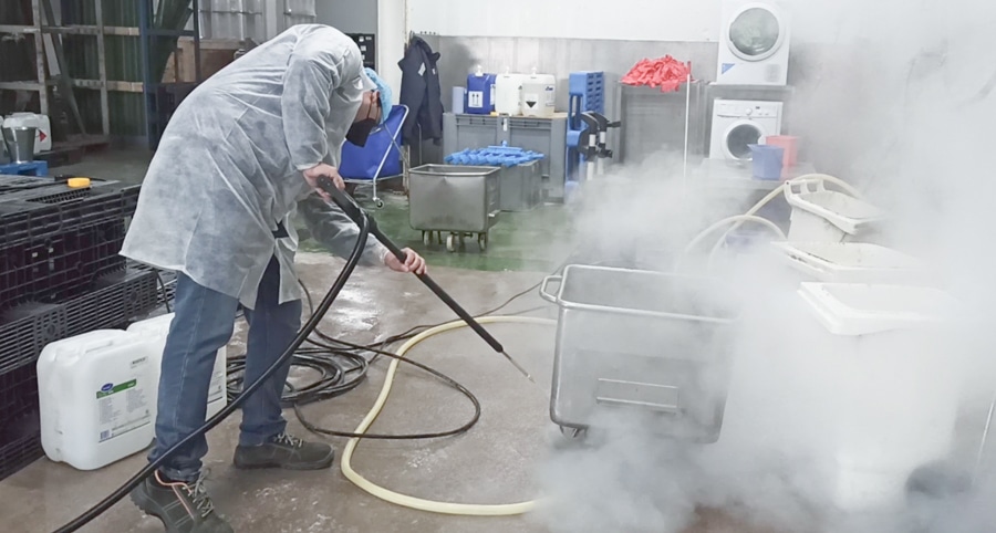 limpieza-vapor-sector-hortofrutícola